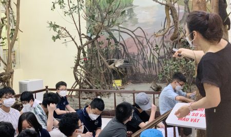 GRADE 6 NEWTON STUDENTS – A FUN STUDY TRIP AT THE FOREST RESOURCES MUSEUM OF VIETNAM